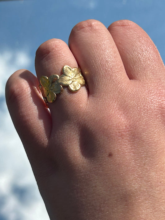 Saint Cassin - bague